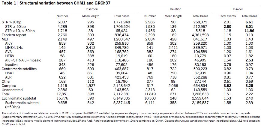 CHM1-SVs